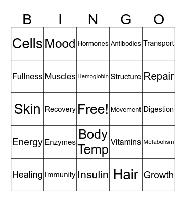 Protein Bingo Card