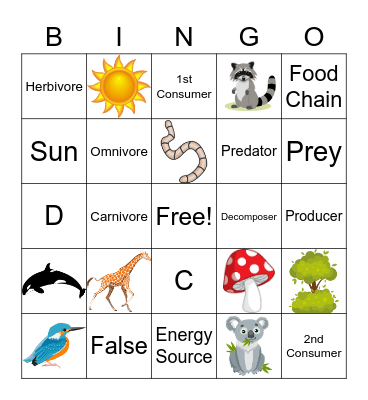 Food Web Bingo Card