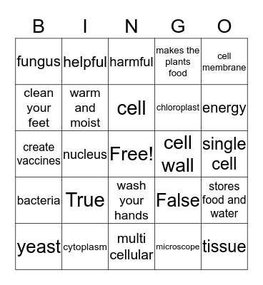 5th grade GPS Cells Bingo Card