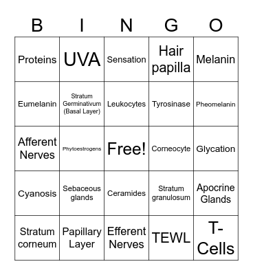 Ch. 3 Histology Bingo Card