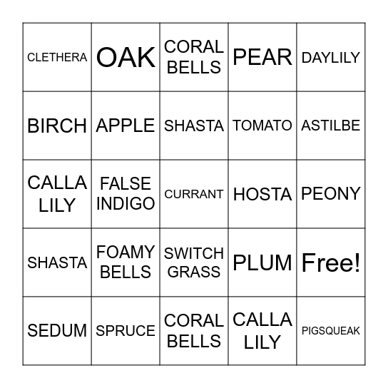 SCHLINGO! Bingo Card