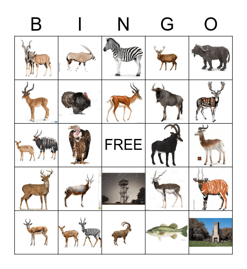 Ranch Bingo Card