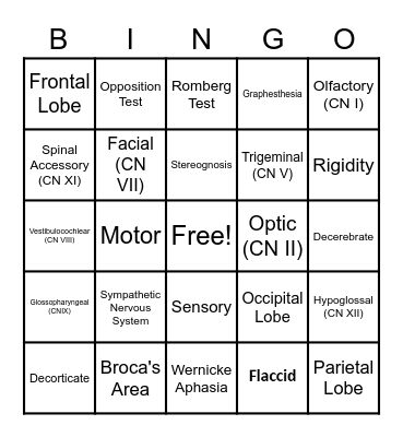Neurological System Bingo Card
