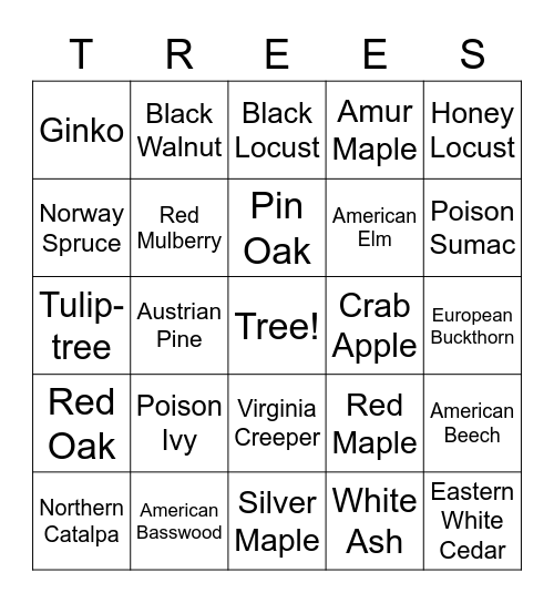 GEAR UP Loves Trees!! Bingo Card