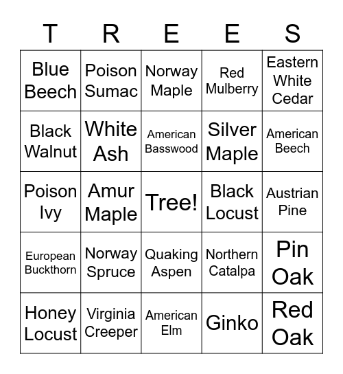 GEAR UP Loves Trees!! Bingo Card