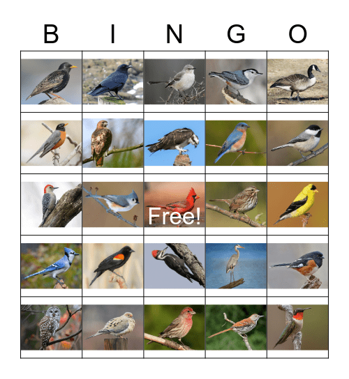 FBC RVA Bird Bingo Card