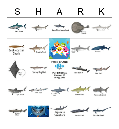 SHARK BINGO Card