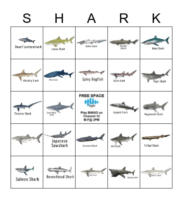 SHARK BINGO Card