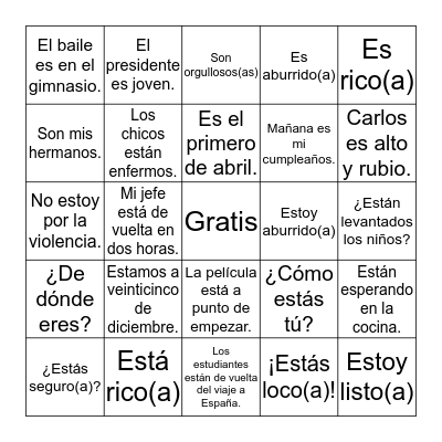 ¡Ser y Estar Lo Tengo! Bingo Card