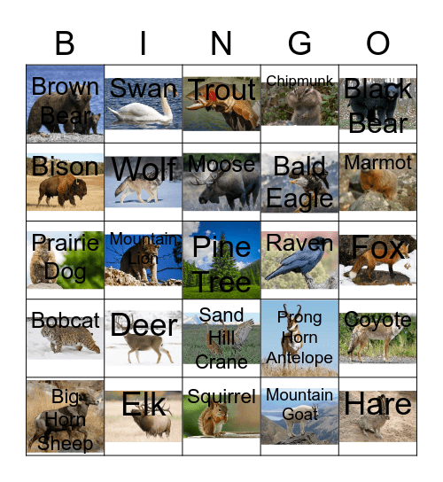 Yellowstone Animal Bingo Card