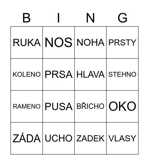 Tělo Bingo Card