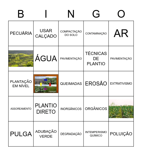 SOLO Bingo Card