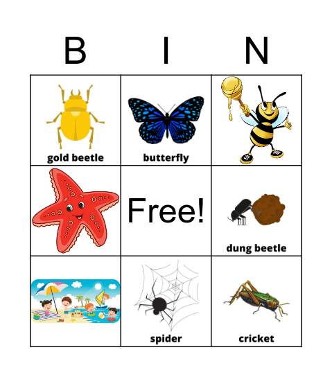 Insects Bingo Card