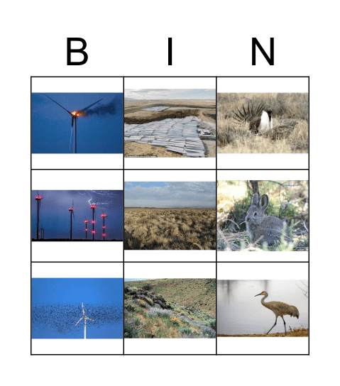 Windfarm Bingo Card