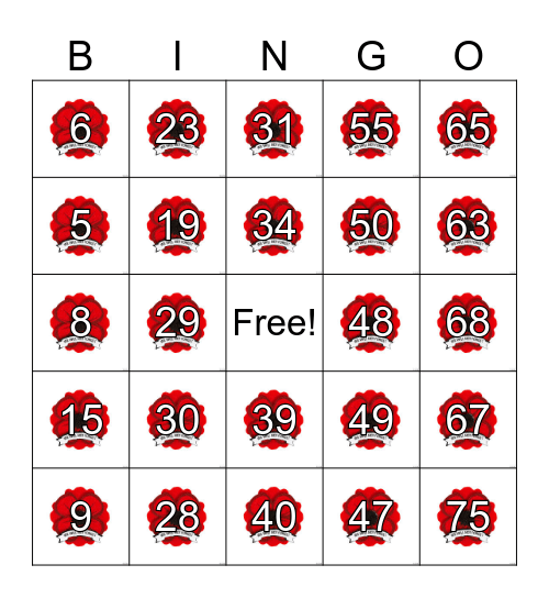 Memorial Day Number Bingo 1-75 Bingo Card