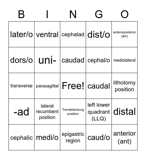 Chapter 3 | Directional Terms, Planes, Positions, Regions, and Quadrants Bingo Card
