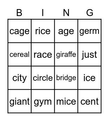 Soft c and g words Bingo Card