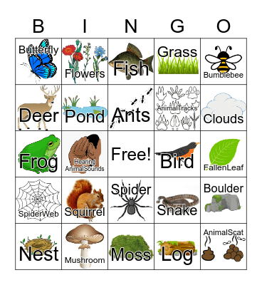 Nature Bingo! Bingo Card