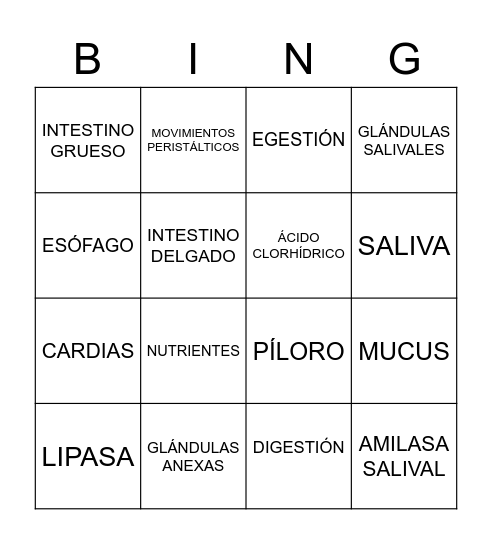 Bingo digestivo Bingo Card