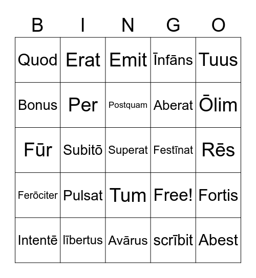 Stage 6 Bingo Card