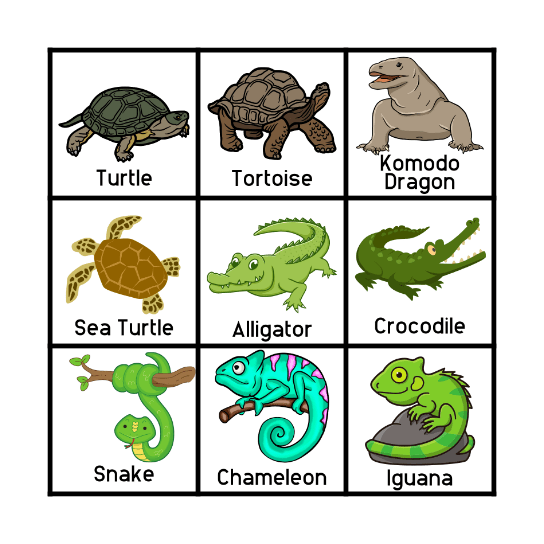 Reptile Bingo Card