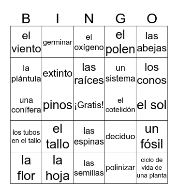 Plantas Bingo Card