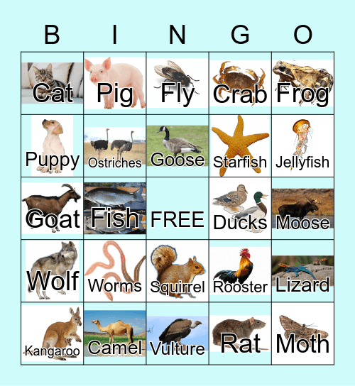 Animals Bingo Card