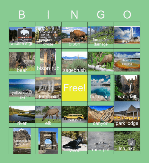 Best of Yellowstone Bingo Card