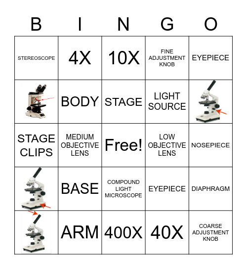 Microscope Bingo Card