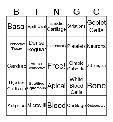 Tissue Practice #1 Bingo Card