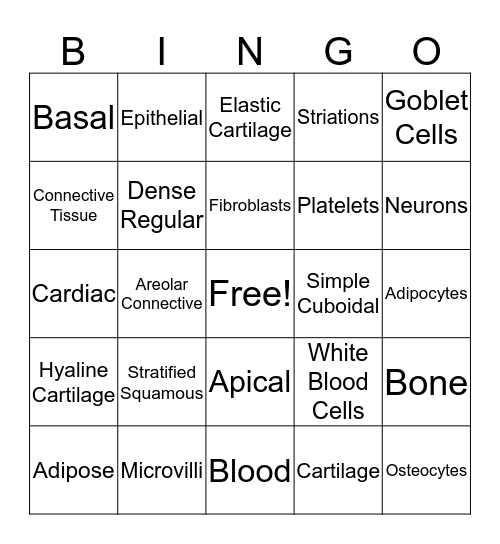 Tissue Practice #1 Bingo Card