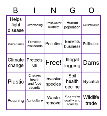 Benefits and Threats of Biodiversity Bingo Card