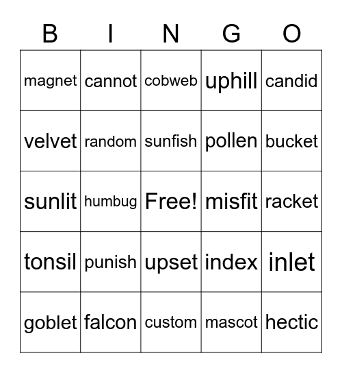 CVVC Words! Bingo Card