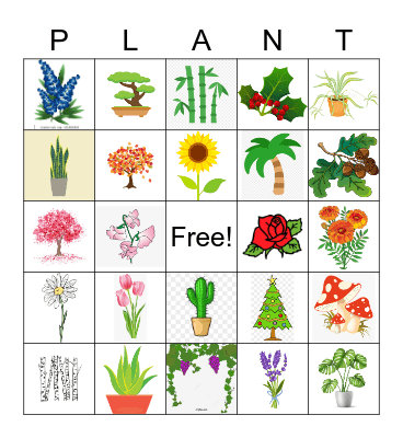 Plants & Flowers Bingo Card