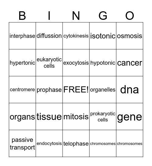 Mitosis Bingo Card