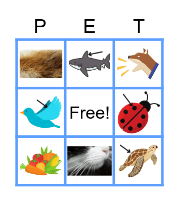 All About Pets Bingo Card