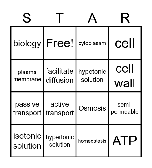 Cellular Process Bingo Card