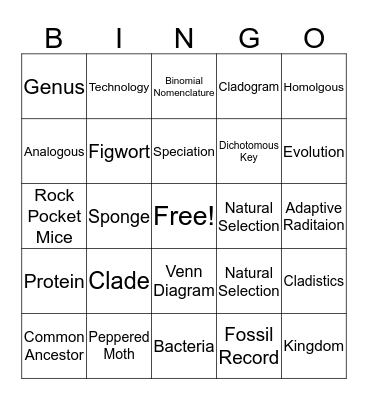 Topic 5 Evolution Bingo Card