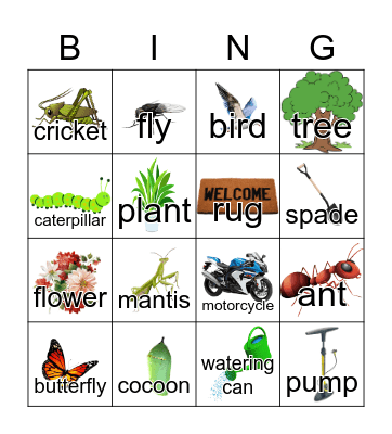Meeting 3 Bingo Card
