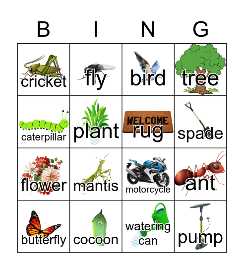 Meeting 3 Bingo Card