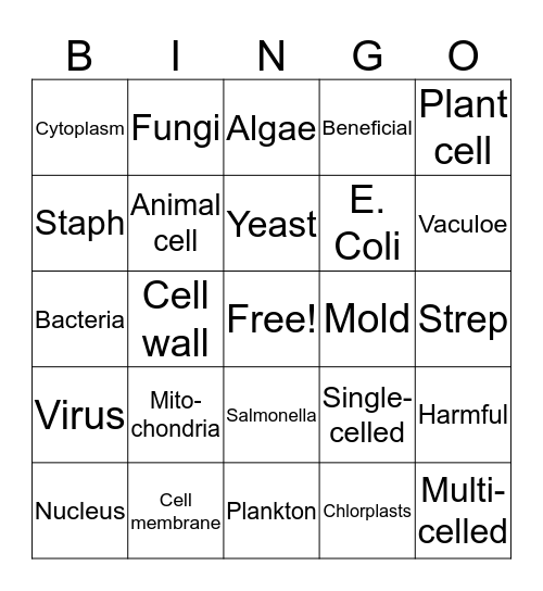 Cells and Microorganism Review! Bingo Card