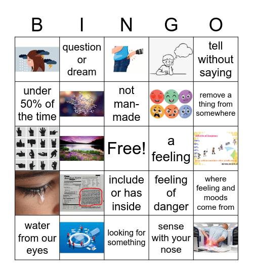 Why Do We Cry? Bingo Card