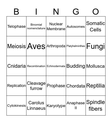 Bio II Bingo Card