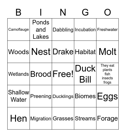 Mallard Duck Bingo Card