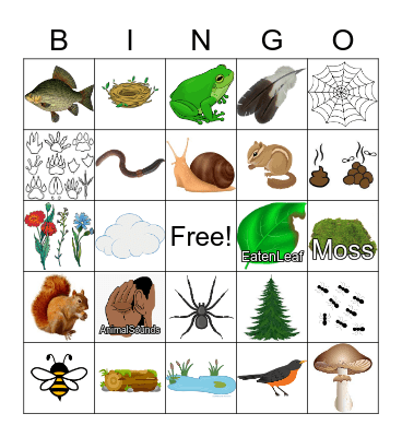 Nature Bingo Card