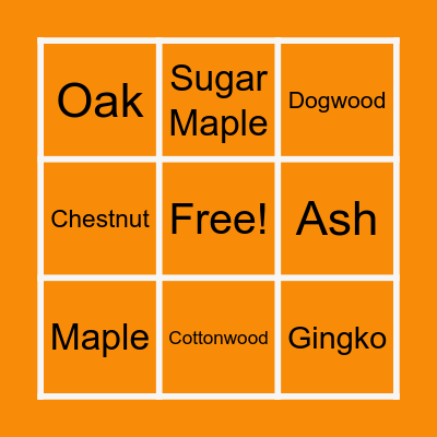 Fall Leaves BINGO Card
