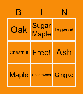 Fall Leaves BINGO Card