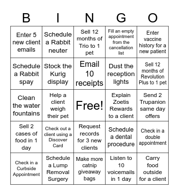Kingdom BINGO 2022 Bingo Card