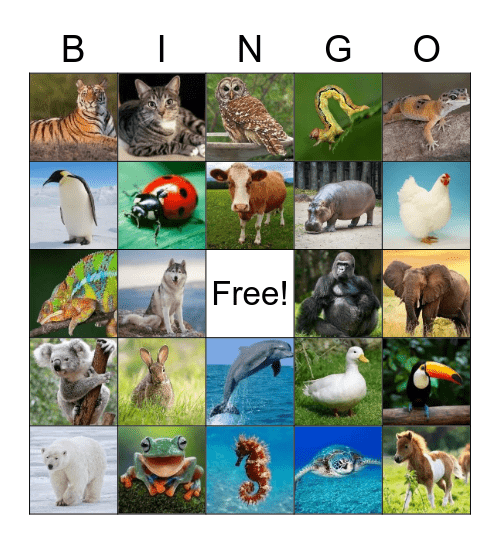 Animal Bingo Card