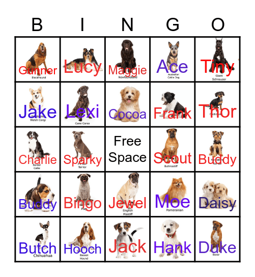 Dog Breeds Bingo Card